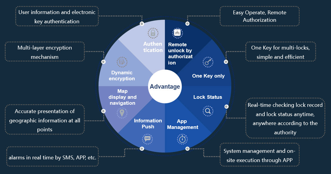 Smart Key Feature Pie Chart